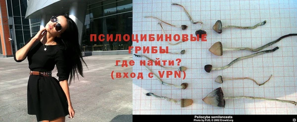 jwh Арсеньев