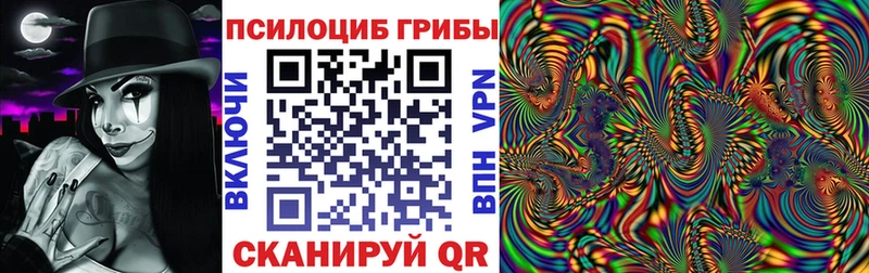 Псилоцибиновые грибы Cubensis blacksprut маркетплейс Аткарск где найти наркотики